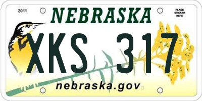 NE license plate XKS317