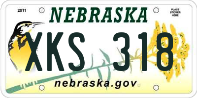 NE license plate XKS318