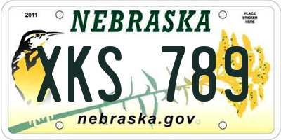 NE license plate XKS789
