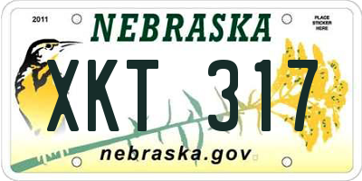 NE license plate XKT317