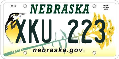 NE license plate XKU223