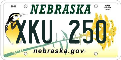 NE license plate XKU250