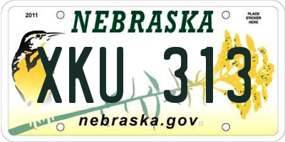 NE license plate XKU313