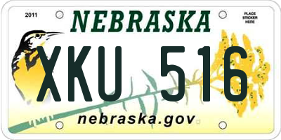 NE license plate XKU516