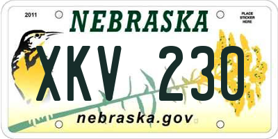 NE license plate XKV230