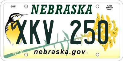 NE license plate XKV250