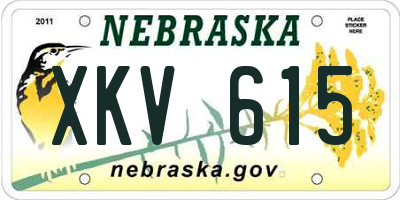 NE license plate XKV615