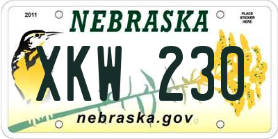 NE license plate XKW230
