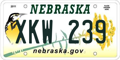 NE license plate XKW239