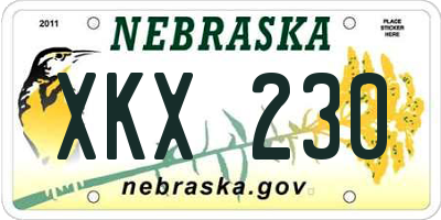 NE license plate XKX230