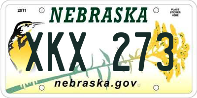 NE license plate XKX273