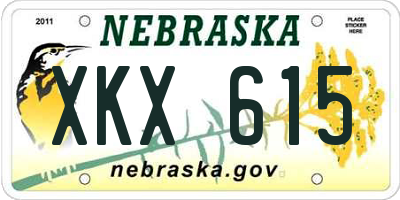 NE license plate XKX615