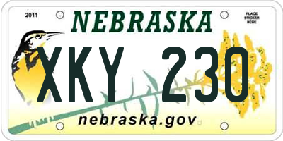 NE license plate XKY230