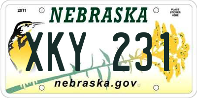 NE license plate XKY231