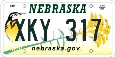 NE license plate XKY317