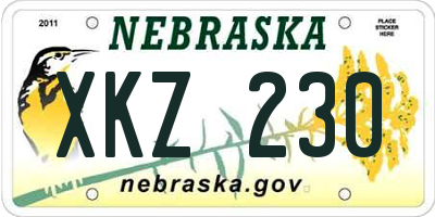 NE license plate XKZ230