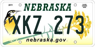 NE license plate XKZ273