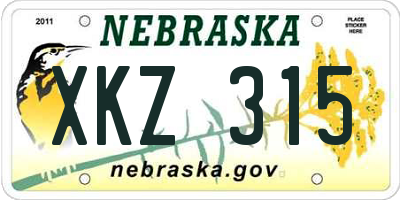 NE license plate XKZ315