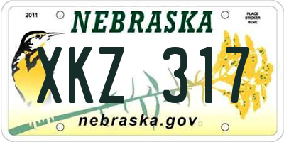 NE license plate XKZ317