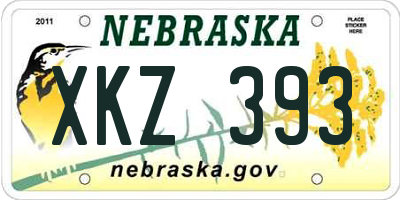 NE license plate XKZ393