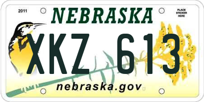 NE license plate XKZ613