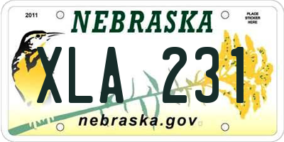 NE license plate XLA231
