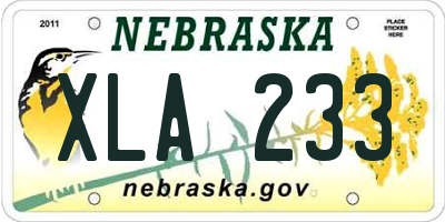 NE license plate XLA233