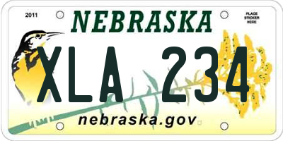 NE license plate XLA234