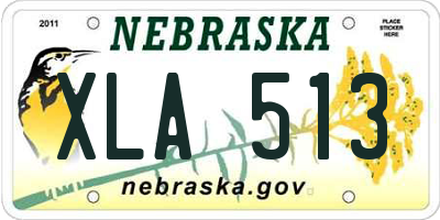 NE license plate XLA513
