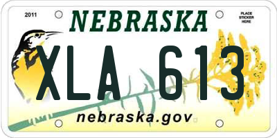 NE license plate XLA613