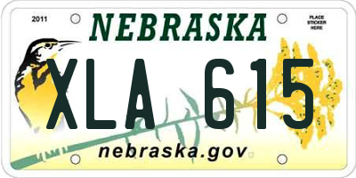 NE license plate XLA615