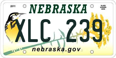 NE license plate XLC239