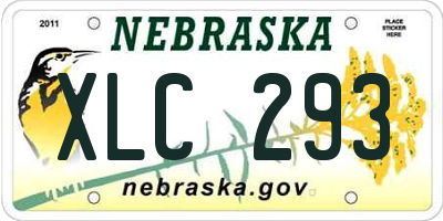 NE license plate XLC293