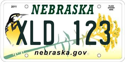 NE license plate XLD123