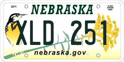 NE license plate XLD251