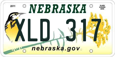 NE license plate XLD317