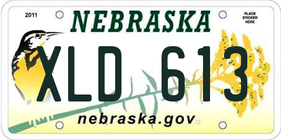 NE license plate XLD613