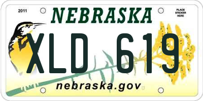 NE license plate XLD619