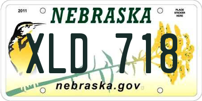 NE license plate XLD718