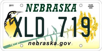 NE license plate XLD719