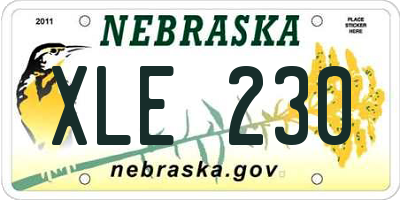 NE license plate XLE230