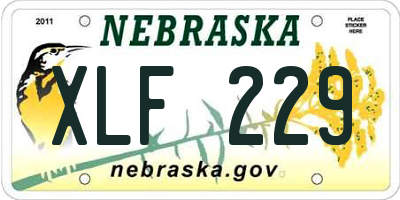 NE license plate XLF229