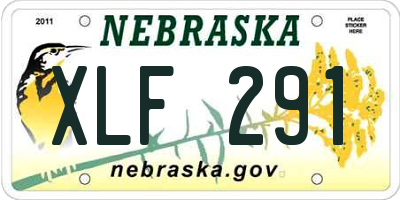 NE license plate XLF291