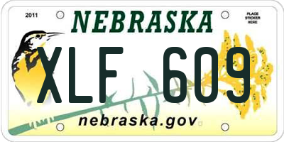 NE license plate XLF609