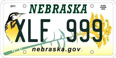 NE license plate XLF999