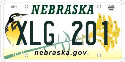 NE license plate XLG201