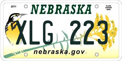 NE license plate XLG223