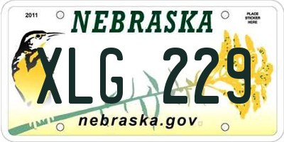 NE license plate XLG229