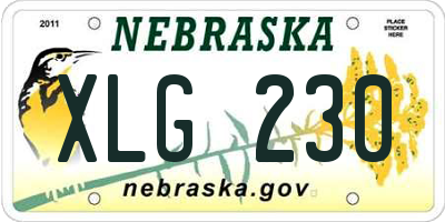 NE license plate XLG230