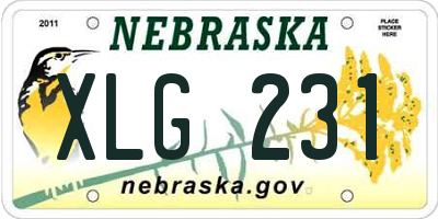 NE license plate XLG231